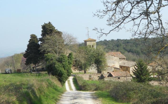 Cosy Country Room Garden Sovicille Exterior foto